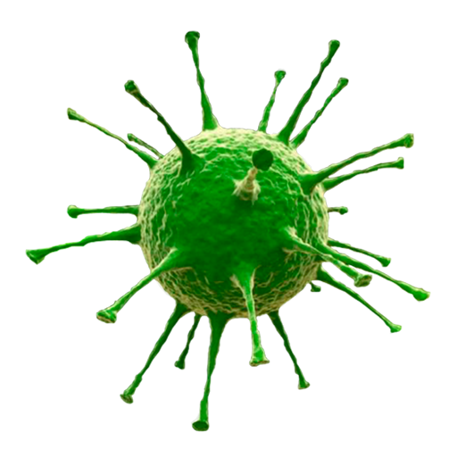Coronavirus (MERS)