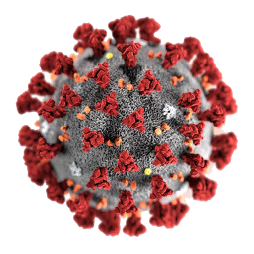 Coronavirus (MERS)