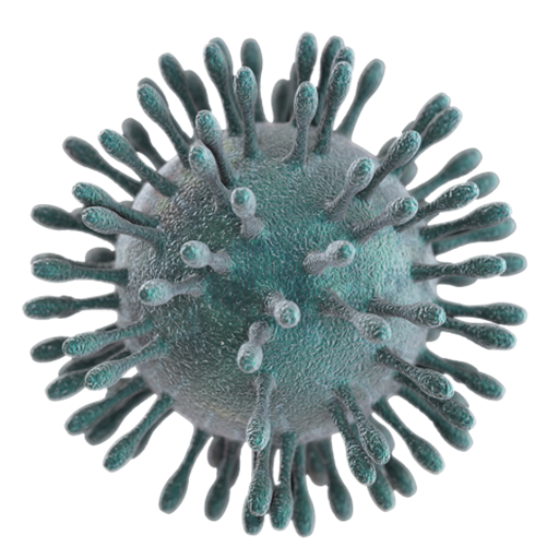 Coronavirus (SARS)