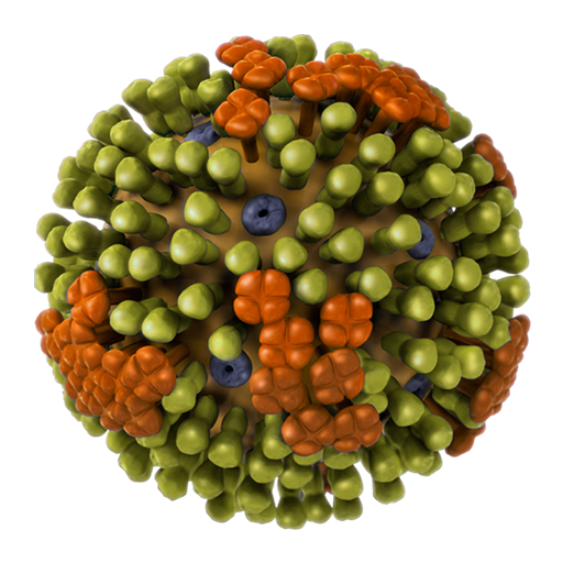 H5N1