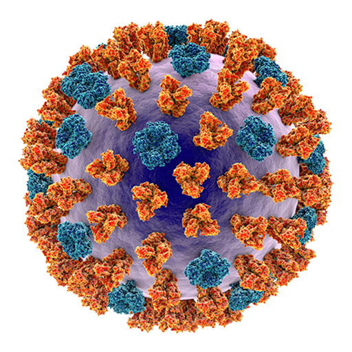 Respiratory Syncytial Virus