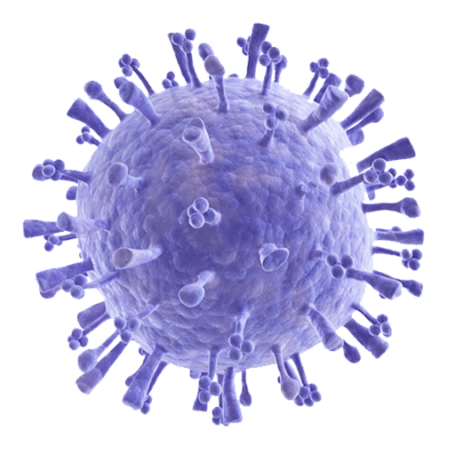 ไข้หวัดใหญ่สายพันธุ์เอ A-H1N1