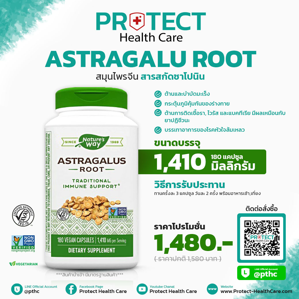 อึ่งคี้ (Nature's Way Astragalus Root) ขนาด 1,410 mg. บรรจุ 180 แคปซูล