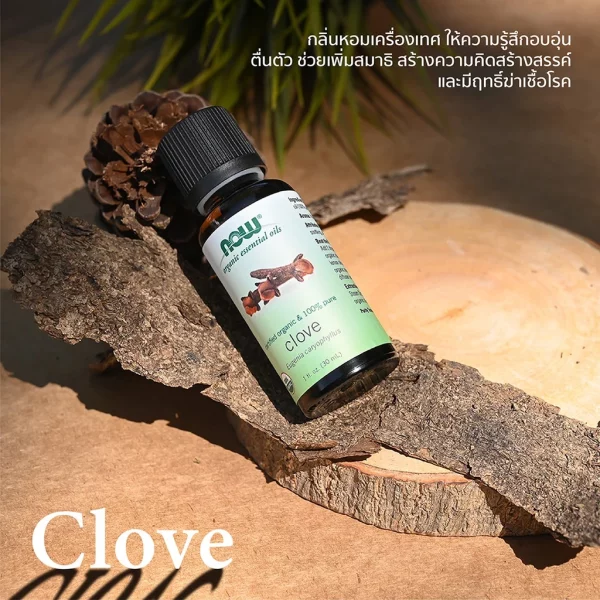 น้ำมันหอมระเหย โคลฟ ออร์แกนิค - NOW Foods Clove Oil, Organic