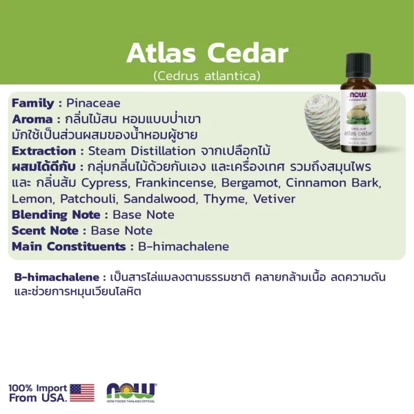 น้ำมันหอมระเหย ซีด้าวูด แอทลาส NOW Foods Atlas Cedar Oil