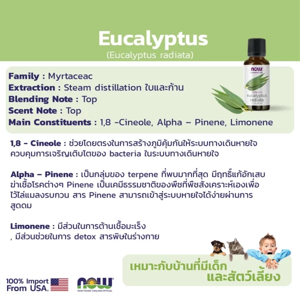 น้ำมันหอมระเหย ยูคาลิปตัส NOW Foods Eucalyptus Radiata Oil