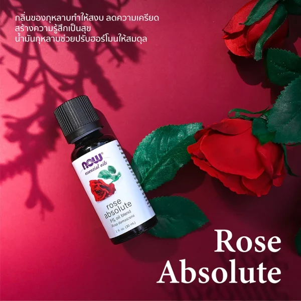 น้ำมันหอมระเหย โรสแอปโซลูต NOW Foods Rose Absolute Oil Blend