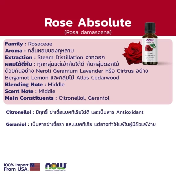 น้ำมันหอมระเหย โรสแอปโซลูต NOW Foods Rose Absolute Oil Blend