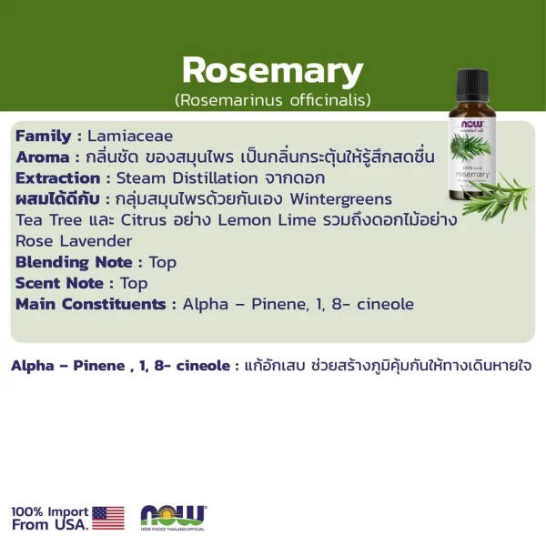 น้ำมันหอมระเหย โรสแมรี่ NOW Foods Rosemary Oil