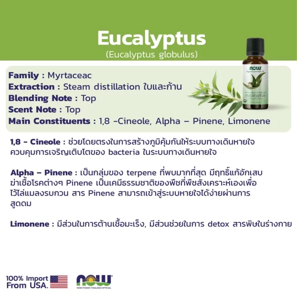 น้ำมันหอมระเหย ยูคาลิปตัส ออร์แกนิค NOW Foods Eucalyptus Globulus Oil, Organic