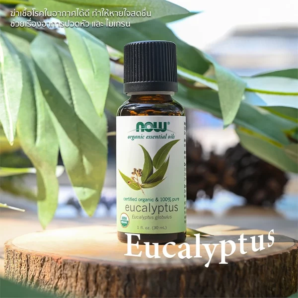 น้ำมันหอมระเหย ยูคาลิปตัส ออร์แกนิค NOW Foods Eucalyptus Globulus Oil, Organic