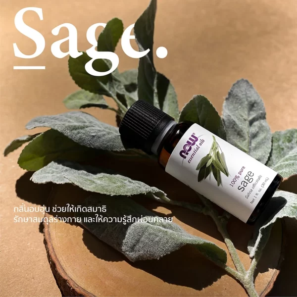 น้ำมันหอมระเหย เสจ NOW Foods Sage Oil