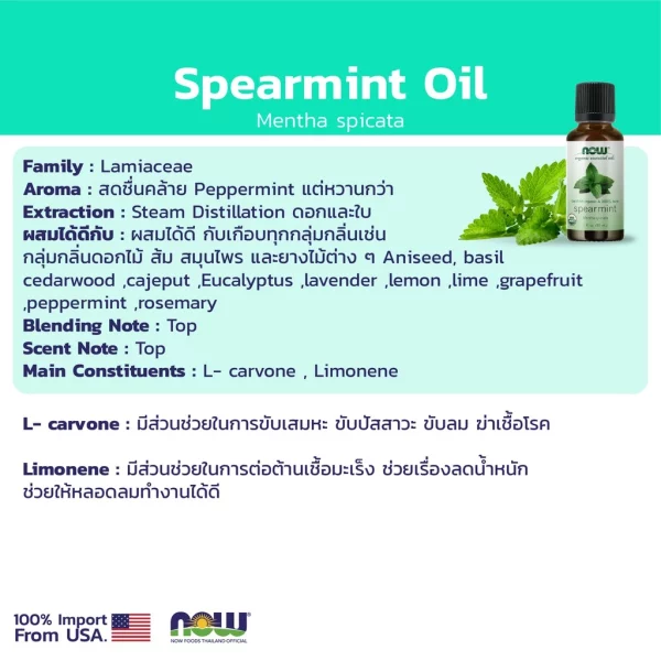 น้ำมันหอมระเหย สเปียร์มิ้นท์ NOW Foods Spearmint Oil