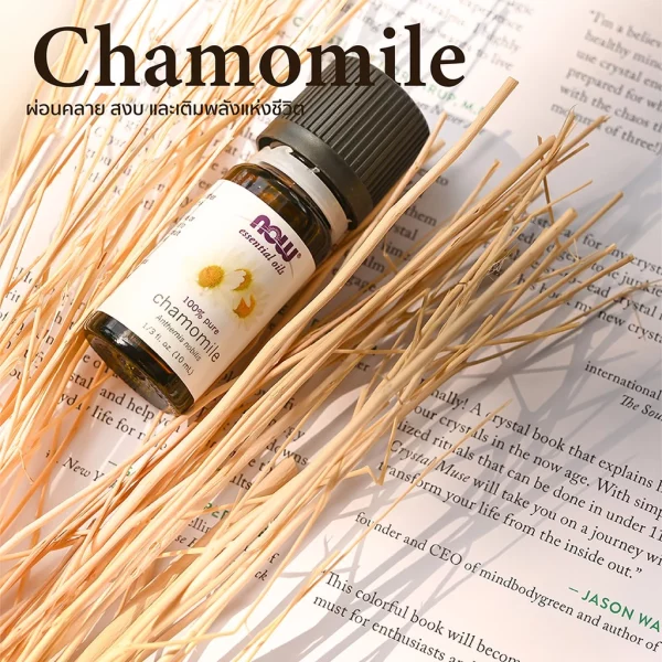 น้ำมันหอมระเหย คาโมมายล์ NOW Foods Chamomile Oil