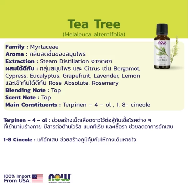 น้ำมันหอมระเหย ทีทรี NOW Foods Tea Tree Oil