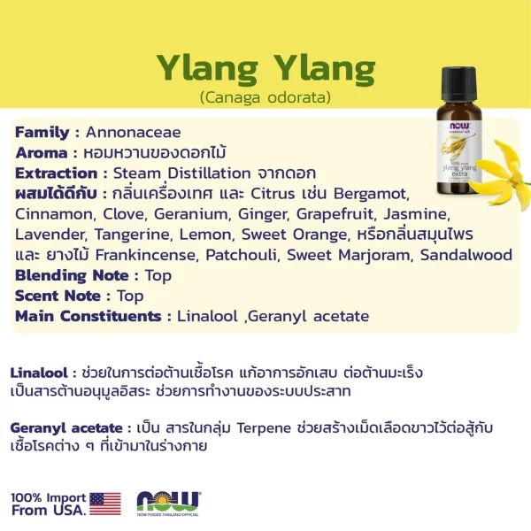 น้ำมันหอมระเหย อีลาง อีลาง NOW Foods Ylang Ylang Oil