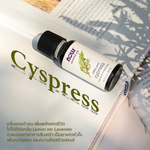 น้ำมันหอมระเหย ไซเปรส NOW Foods Cypress Oil