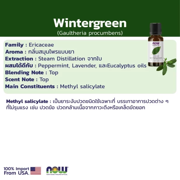 น้ำมันหอมระเหย วินเทอร์ กรีน NOW Foods Wintergreen Oil