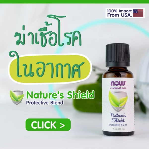 น้ำมันหอมระเหย เนเจอร์ ซิลล์ ออยล์ เบลนด์ NOW Foods Nature's Shield Oil Blend