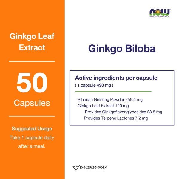 ผลิตภัณฑ์เสริมอาหาร สารสกัดใบแปะก๊วย 120 มิลลิกรัม เวจ แคปซูล - Ginkgo Biloba Leaf Extract 120 mg Veg Capsules Dietary Supplement Product (NOWⓇ)