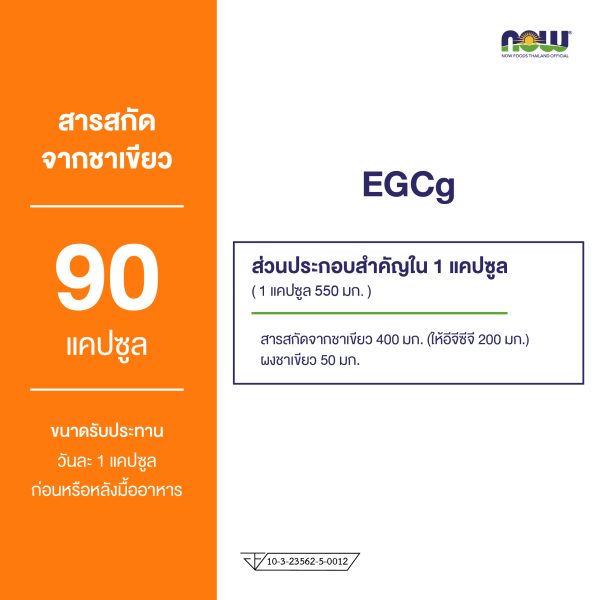 ผลิตภัณฑ์เสริมอาหาร สารสกัดจากชาเขียว 400 มิลลิกรัม - Green Tea Extract 400 mg Dietary Supplement Product (NOWⓇ)