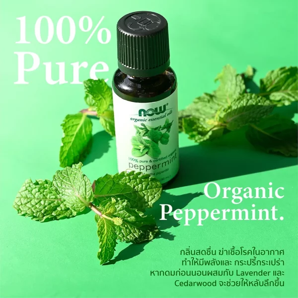 น้ำมันหอมระเหย เปปเปอร์มิ้นต์ ออร์แกนิค NOW Foods Peppermint Oil, Certified Organic