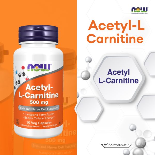 ผลิตภัณฑ์เสริมอาหาร อะซิทิล-แอล-คาร์นิที่น 500 มิลลิกรัม - Acetyl-L-Carnitine 500 mg Dietary Supplement Product (NOWⓇ)