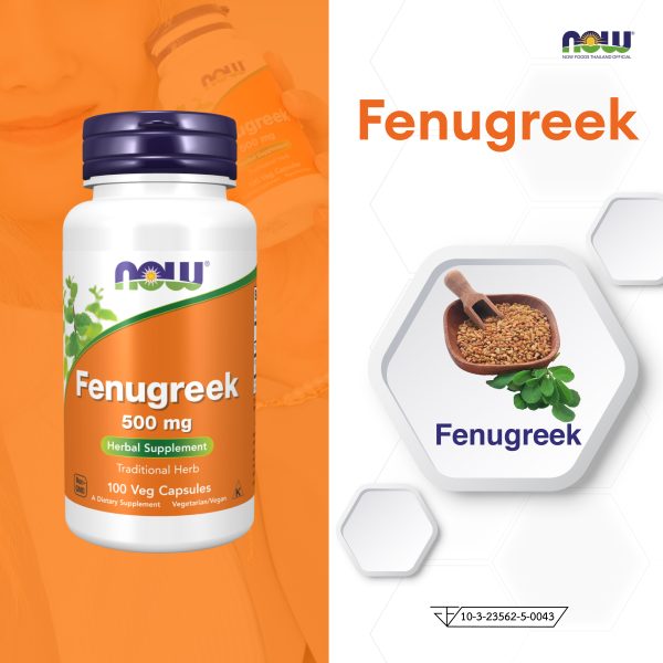 ผลิตภัณฑ์เสริมอาหาร ลูกซัด 500 มิลลิกรัม - Fenugreek 500 mg Dietary Supplement Product (NOWTM)