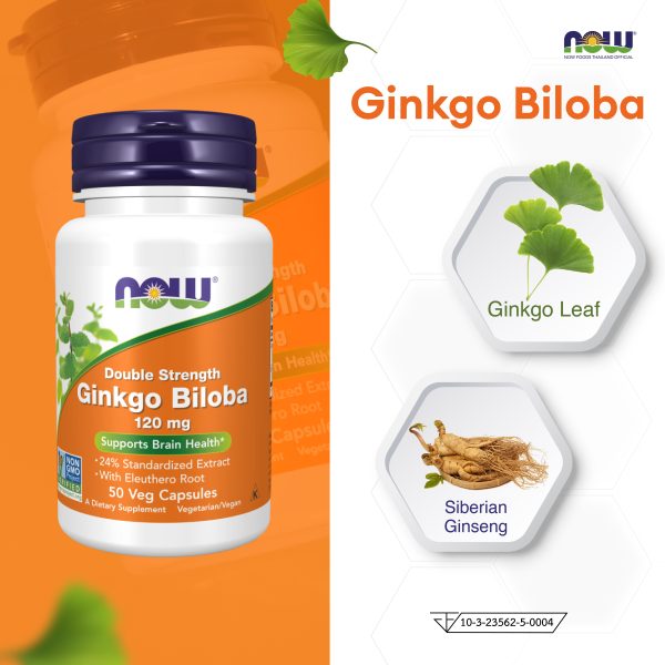 ผลิตภัณฑ์เสริมอาหาร สารสกัดใบแปะก๊วย 120 มิลลิกรัม เวจ แคปซูล - Ginkgo Biloba Leaf Extract 120 mg Veg Capsules Dietary Supplement Product (NOWⓇ)