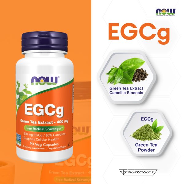 ผลิตภัณฑ์เสริมอาหาร สารสกัดจากชาเขียว 400 มิลลิกรัม - Green Tea Extract 400 mg Dietary Supplement Product (NOWⓇ)